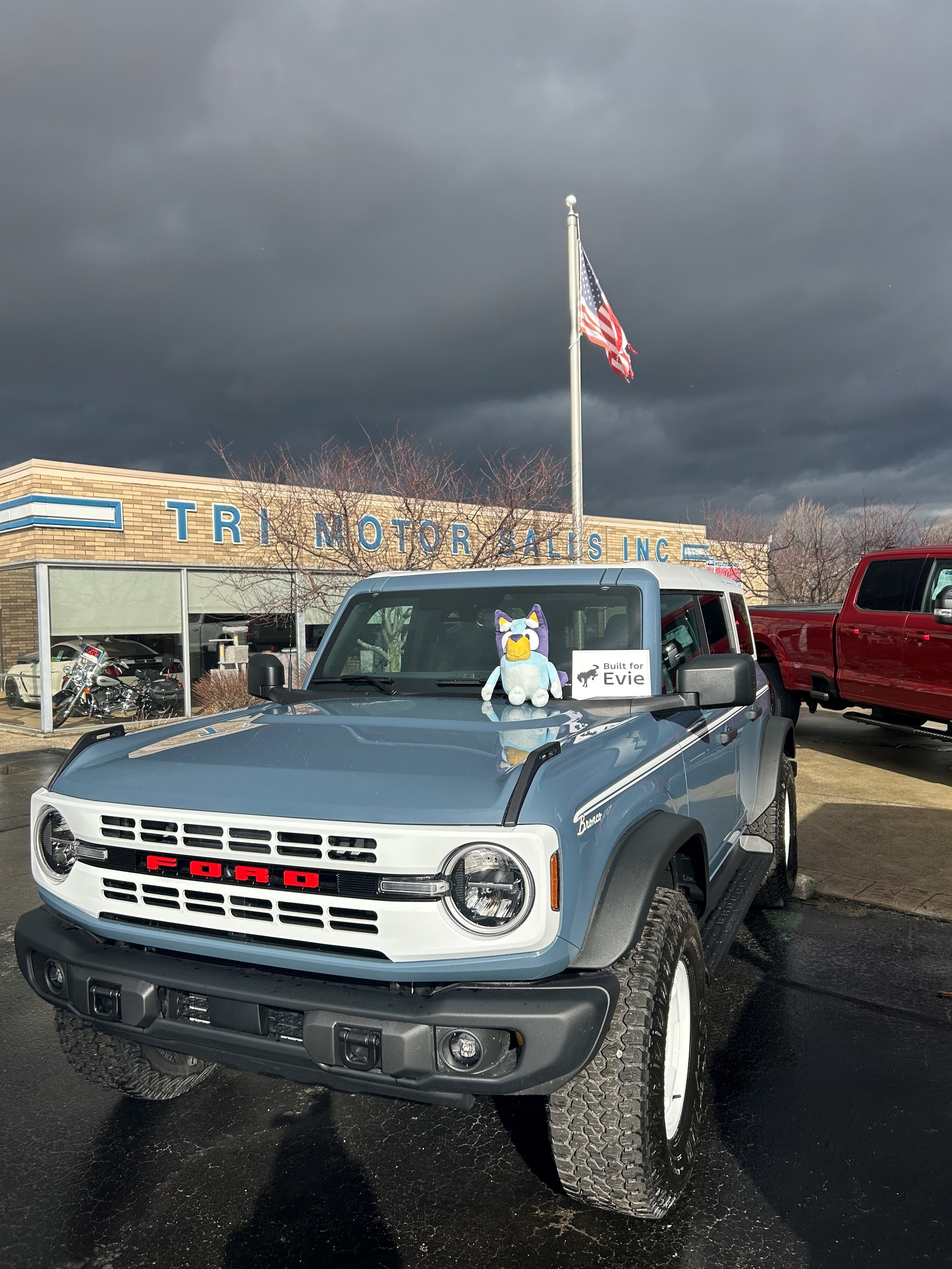 Evie's Bronco, Bluey.